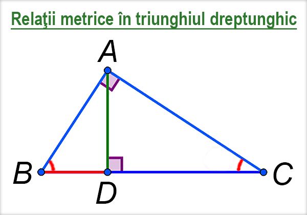 Relaţii metrice în triunghiul dreptunghic